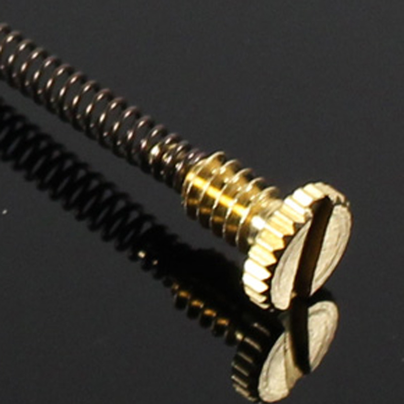 10 Pezzi di Molle Metalliche p - Lighter Insert Zippo recensione e prezzo